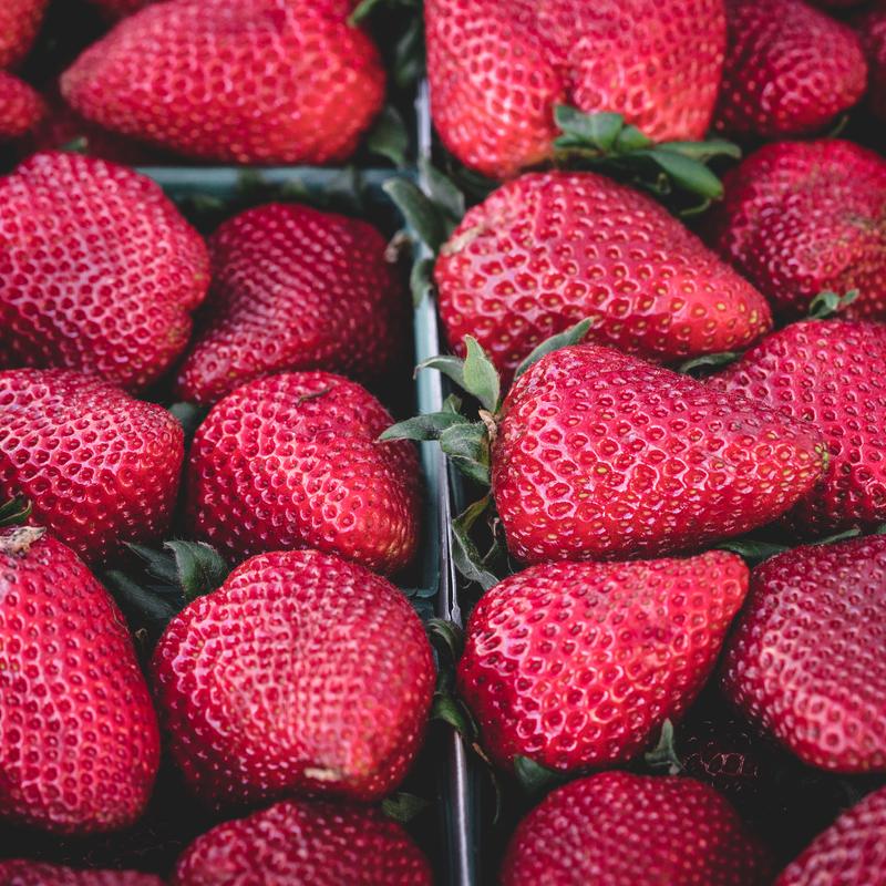 Optio reiciendis omnis nisi ea eius sit