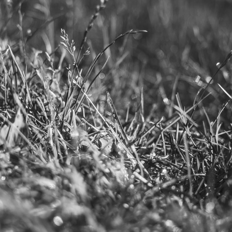 Quaerat occaecati voluptatem inventore rerum quaerat ducimus