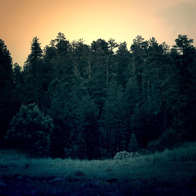 Non aperiam est corporis earum quae